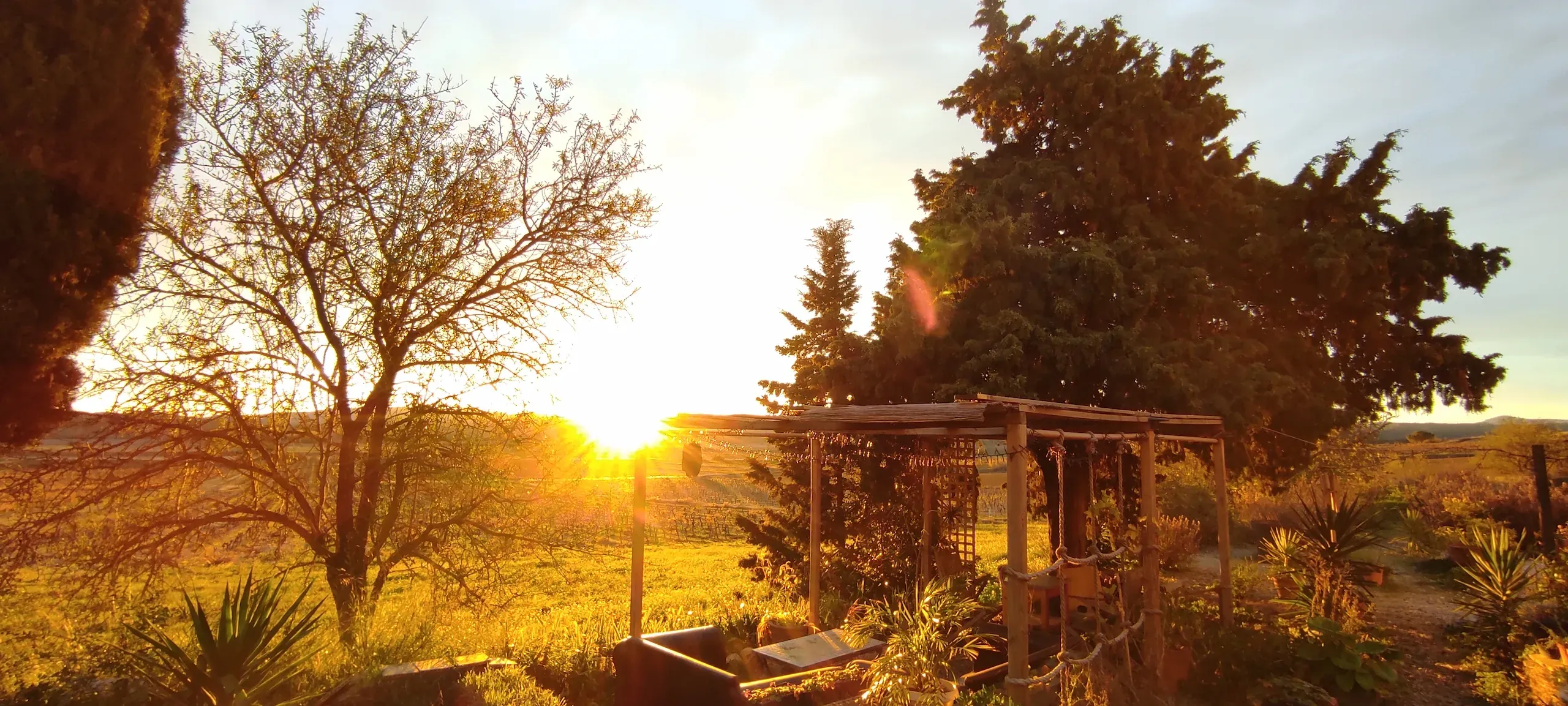 Vue du levé du soleil dans le jardin du Domaine Conscience